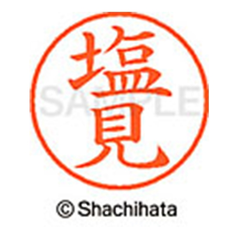 シヤチハタ ネーム9既製 XL-9 1263 塩見 1個(ご注文単位1個)【直送品】