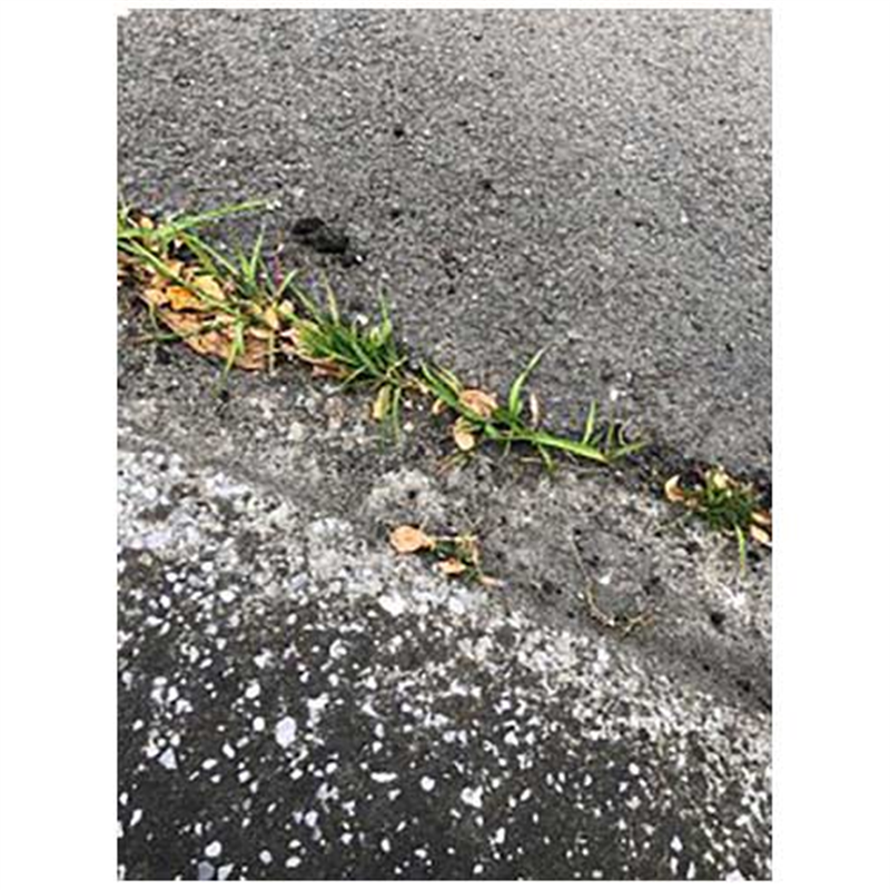 シャープ化学工業 防草用のスキマフィル 1個（ご注文単位1個）【直送品】