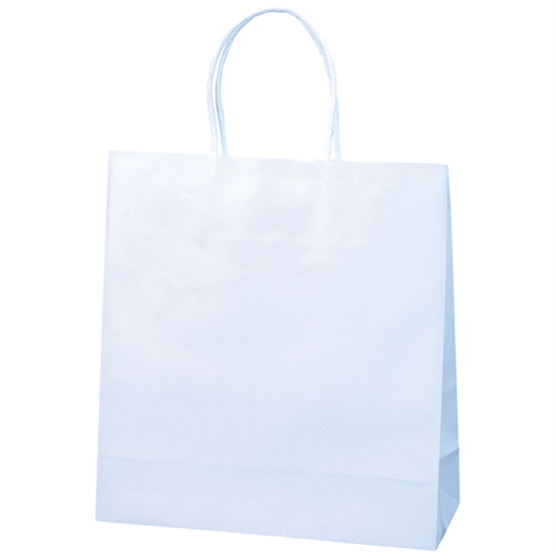 ノーブランド 紙手提袋特小100枚 290X260mm 1個(ご注文単位1個)【直送品】