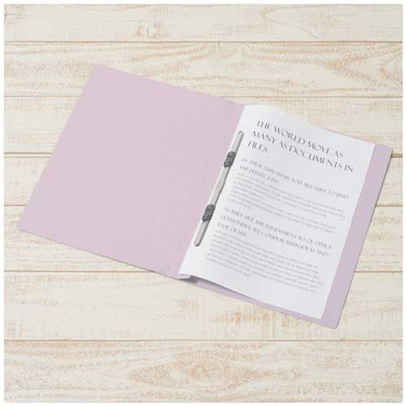 プラス フラットファイル 021N A4S VL 30冊  1個（ご注文単位1個）【直送品】