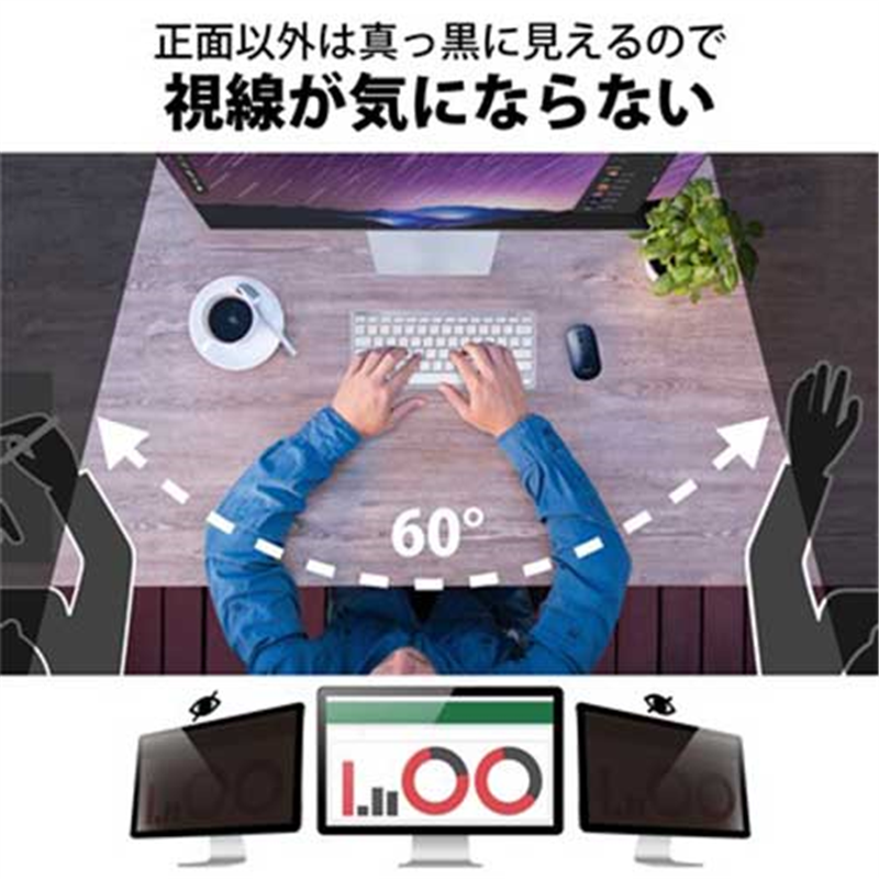 エレコム 覗き見防止フィルター 抗菌 24W 1個(ご注文単位1個)【直送品】