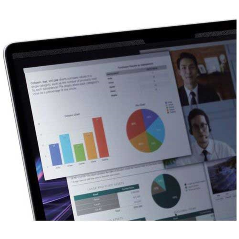 エレコム マグネット覗き見防止フィルタ 13.3W 16:10 1個(ご注文単位1個)【直送品】