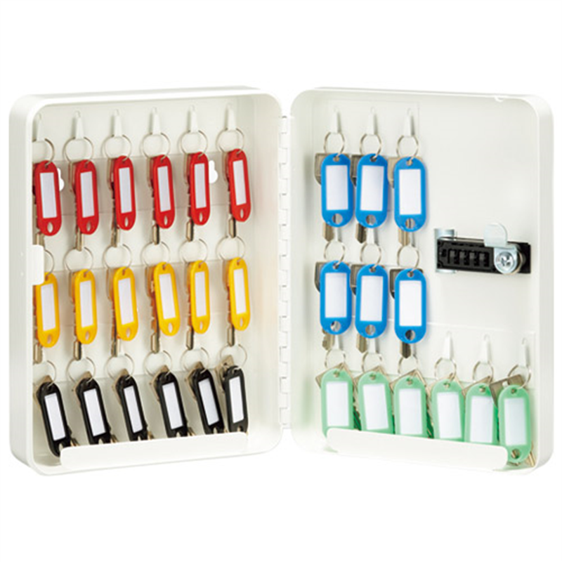 ケイデン・セキュリティー キーキャビネットライト30本タイプ KCL30  1個（ご注文単位1個）【直送品】