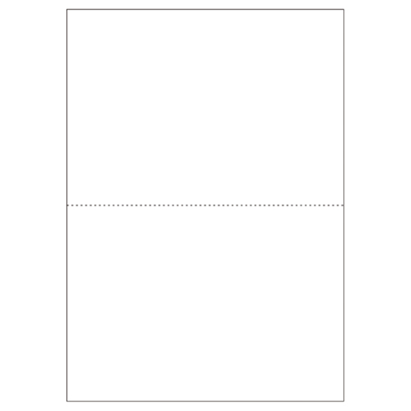 ヒサゴ プリンター帳票 BP2002 A4 白/2面穴無100枚 1個（ご注文単位1個）【直送品】