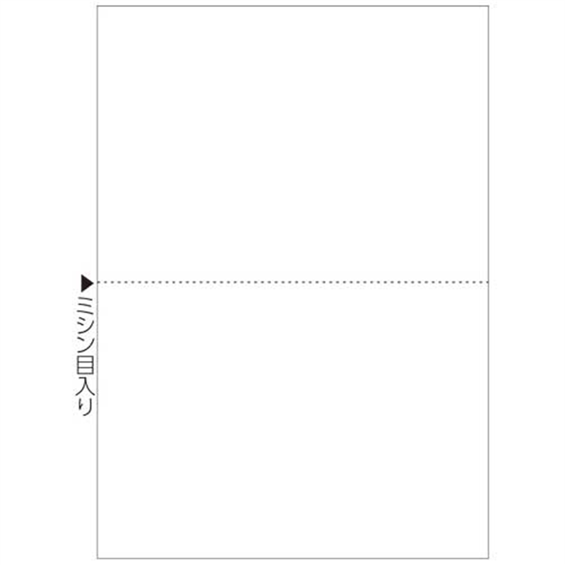 ヒサゴ マルチプリンタ帳票B5白2面100枚FSC2052  1個（ご注文単位1個）【直送品】