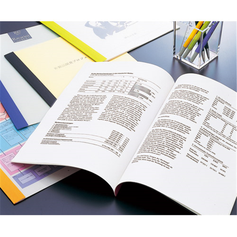 LIHITLAB 製本ファイル G1700-0 白 1個(ご注文単位1個)【直送品】