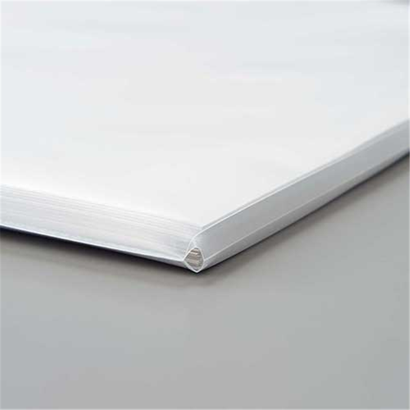 LIHITLAB クリヤポケットマチ付 G49190 A4S 10枚 1個(ご注文単位1個)【直送品】