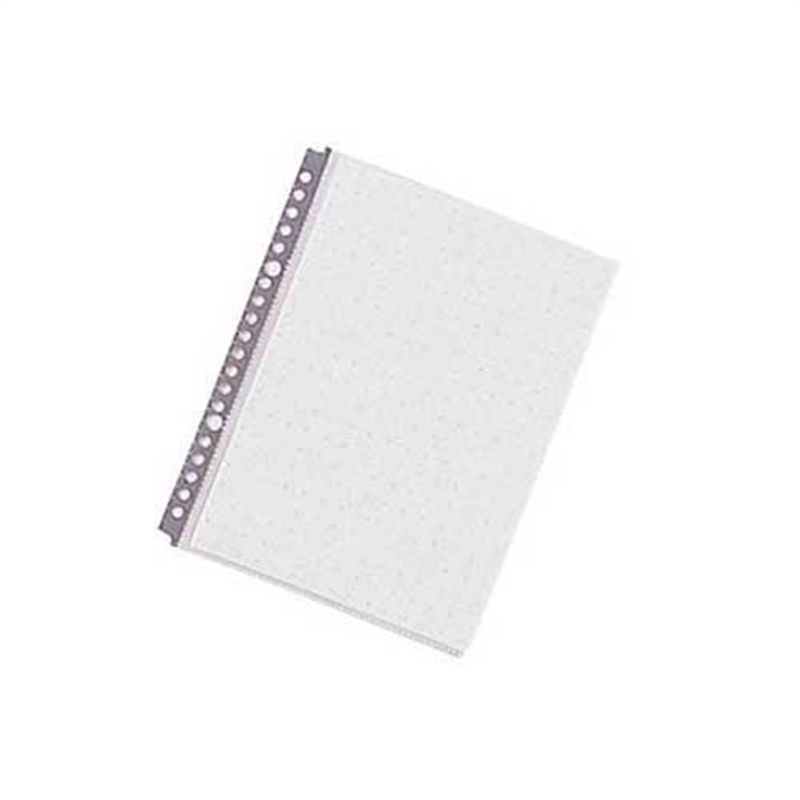 LIHITLAB クリヤーポケット N-2010 A5S 10枚 グレー  1個（ご注文単位1個）【直送品】