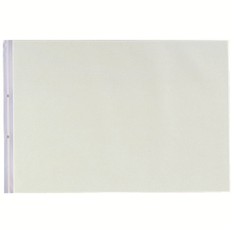 LIHITLAB PPクリヤーポケット N-2018 A3E 2穴 10枚 1個（ご注文単位1個）【直送品】