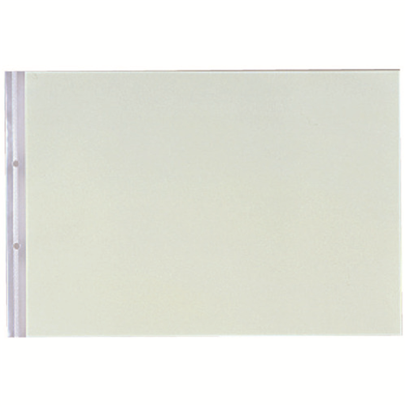 LIHITLAB PPクリヤーポケット N-2017 B4E 2穴 10枚 1個（ご注文単位1個）【直送品】