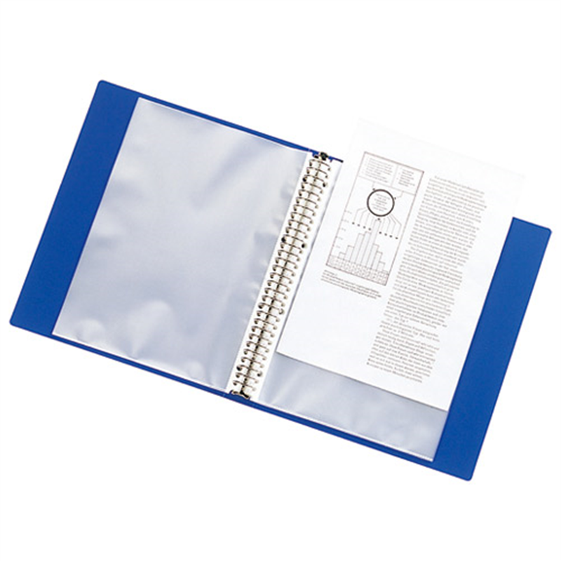 LIHITLAB クリヤーブック リクエスト G3803-8 A4S 青 1個（ご注文単位1個）【直送品】