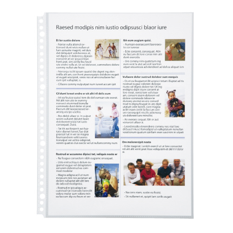 LIHITLAB クリヤーポケット G49070 A4S 30穴 20枚 1個(ご注文単位1個)【直送品】