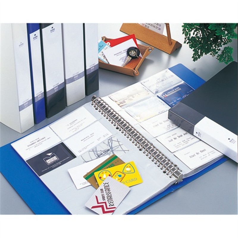 LIHITLAB 名刺帳 G8801-8 300名 A4 30穴 青 1個(ご注文単位1個)【直送品】