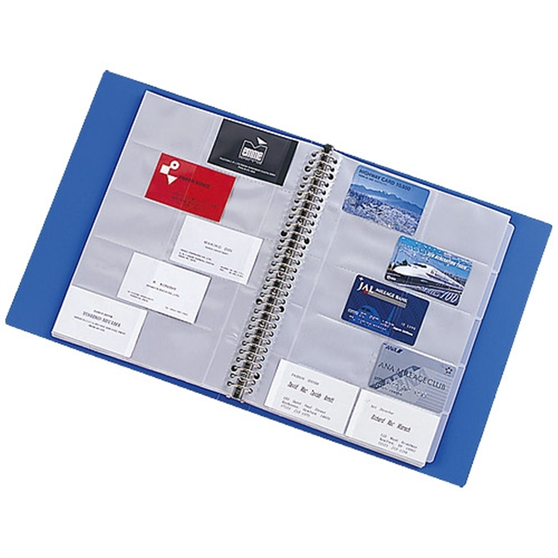 LIHITLAB 名刺帳 G8801-8 300名 A4 30穴 青 1個(ご注文単位1個)【直送品】