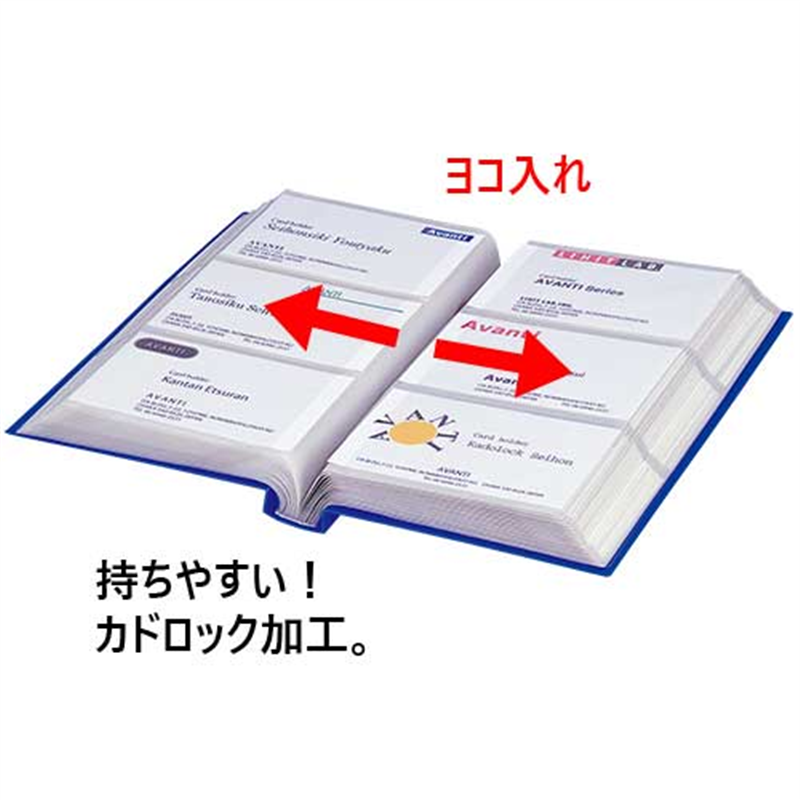 LIHITLAB カードホルダー タテ型 A-4102-24 黒  1個（ご注文単位1個）【直送品】