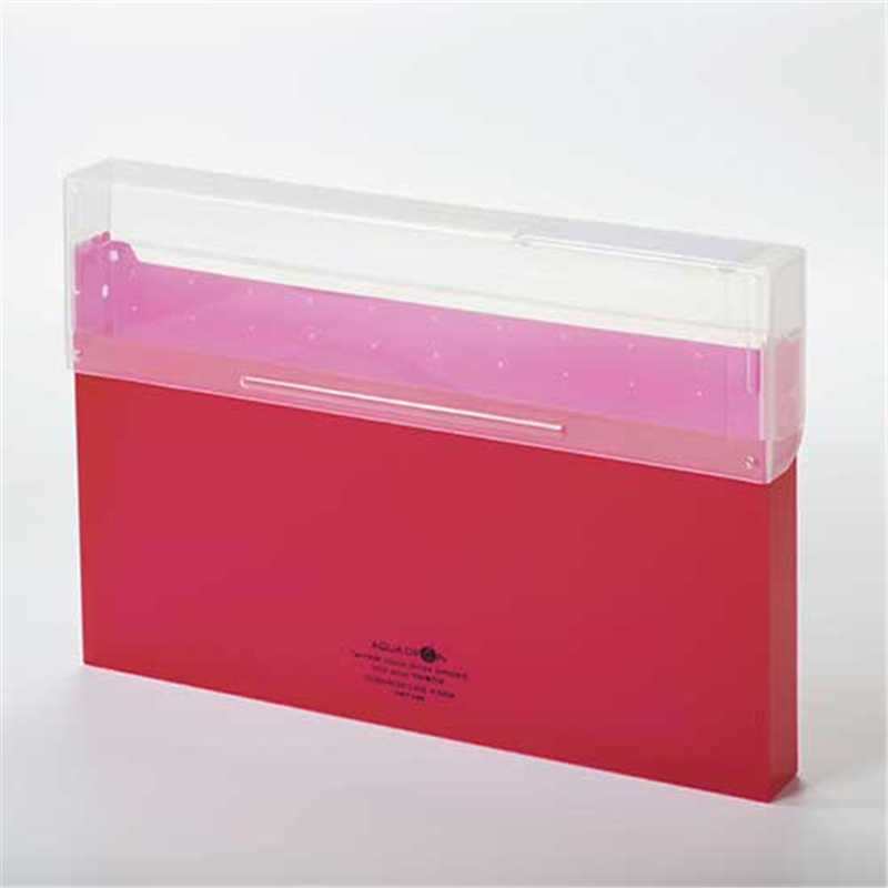 LIHITLAB コングレスケース厚型 A-5024-3 赤  1個（ご注文単位1個）【直送品】