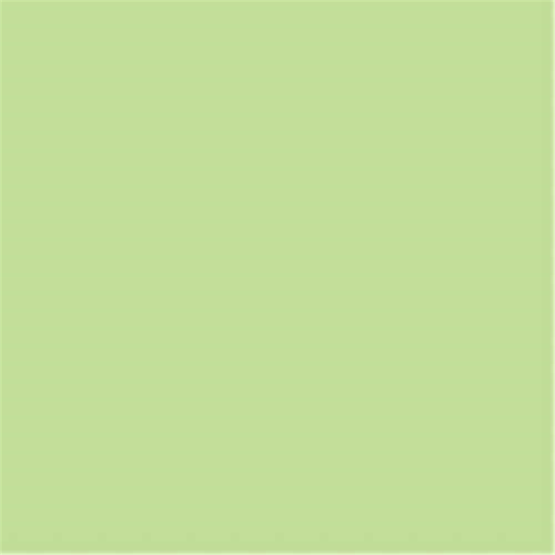 リンテック 色画用紙R A4 A4NCR-243 わかくさ  1個（ご注文単位1個）【直送品】