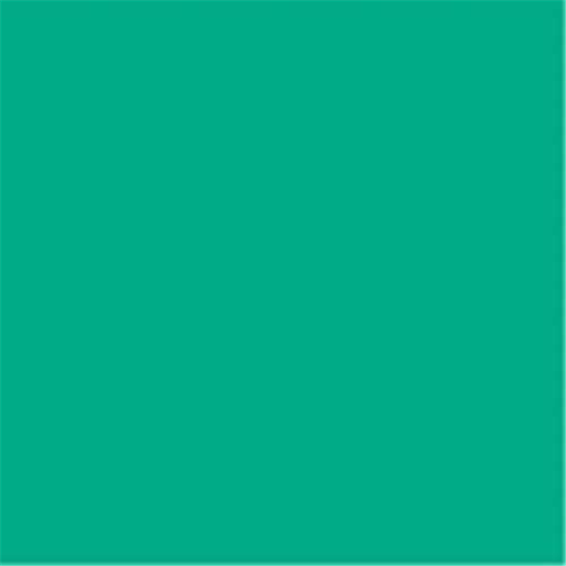 リンテック 色画用紙R A4 A4NCR-321 みどり  1個（ご注文単位1個）【直送品】