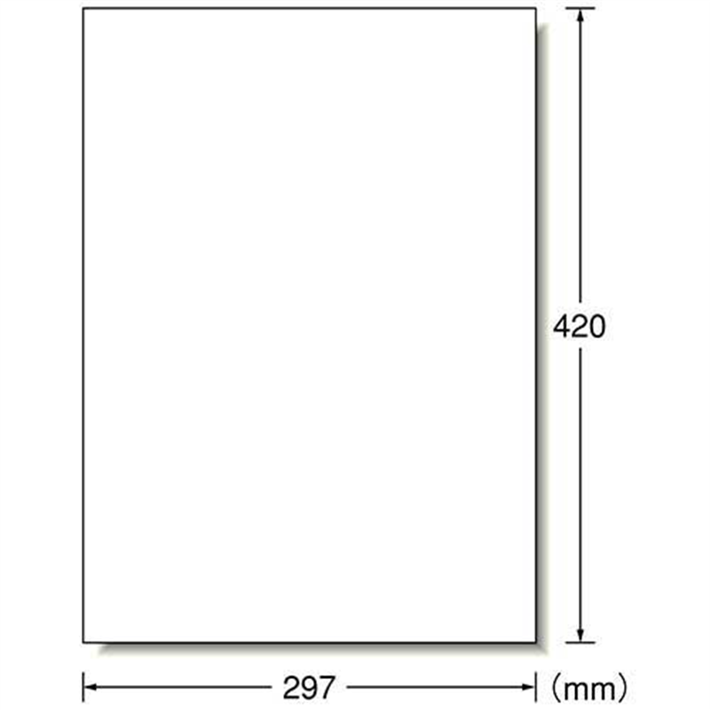 エーワン 屋外用サインラベルA3 31033 白ツヤ消5枚  1個（ご注文単位1個）【直送品】