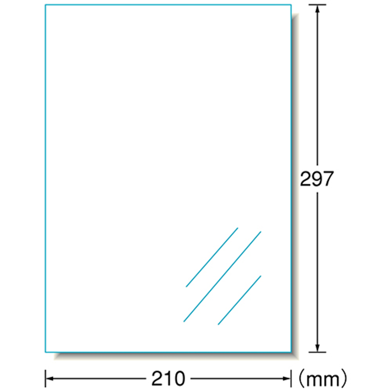 エーワン 屋外用サインラベルA4 31036ツヤ消透明10枚 1個（ご注文単位1個）【直送品】