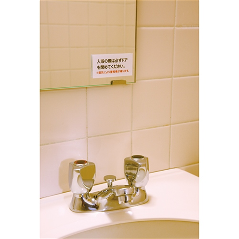 エーワン 屋外用サインラベルA4 31070 白12面5枚  1個（ご注文単位1個）【直送品】