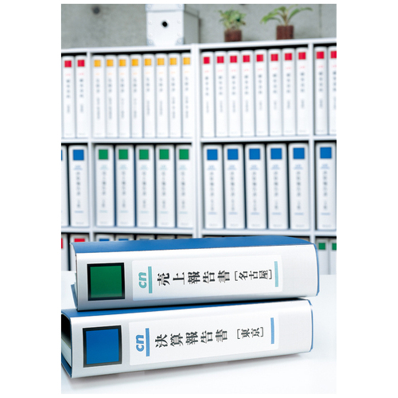 エーワン ファイル背ラベル190×50 5面 31421 20枚 1個(ご注文単位1個)【直送品】