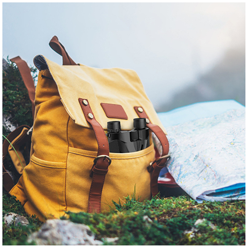 APEXEL 10倍双眼鏡 APL-PB10X25N 1個(ご注文単位1個)【直送品】