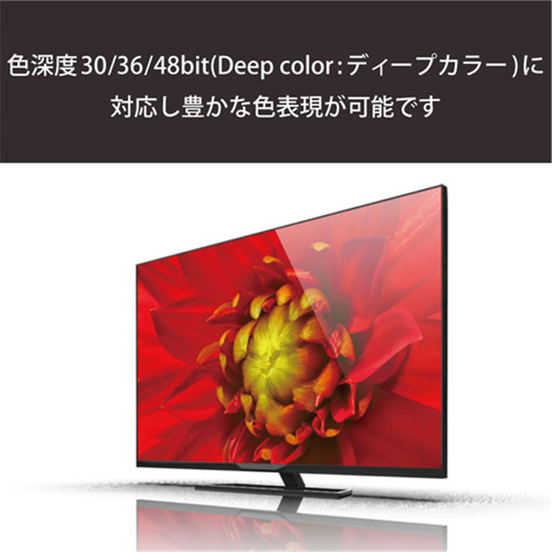 エレコム HDMIケーブル 1m DH-HD14EL10/RS 1個(ご注文単位1個)【直送品】