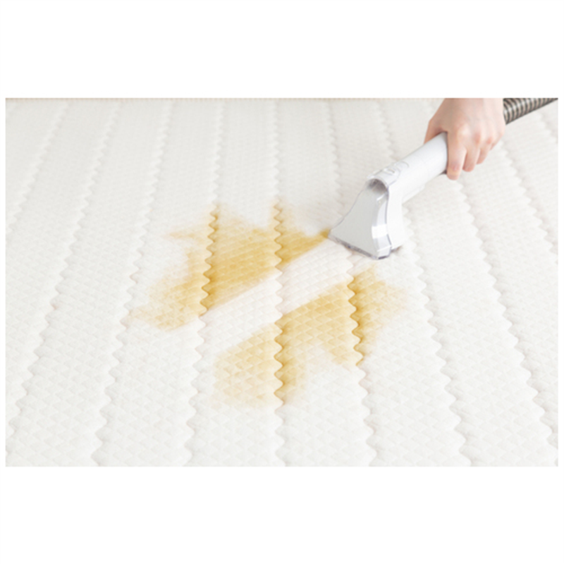 アイリスオーヤマ リンサークリーナー RNS-P10-W  1個（ご注文単位1個）【直送品】