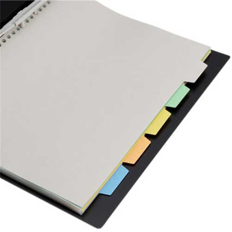 キングジム カラーインデックス 7907P 多穴 A4S 1個(ご注文単位1個)【直送品】