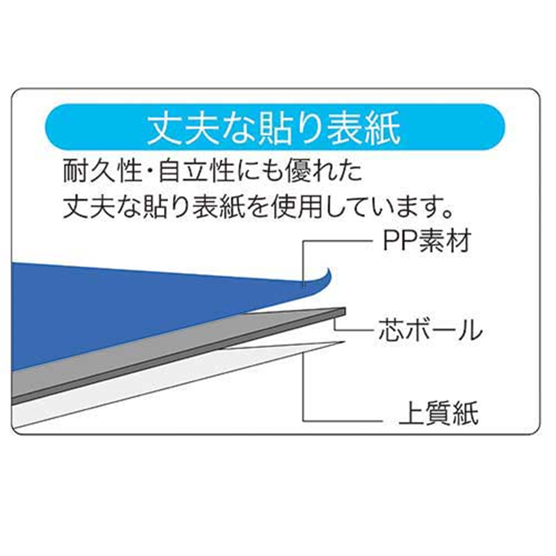 キングジム DリングファイルBF 608BF A4S 黒 1個(ご注文単位1個)【直送品】