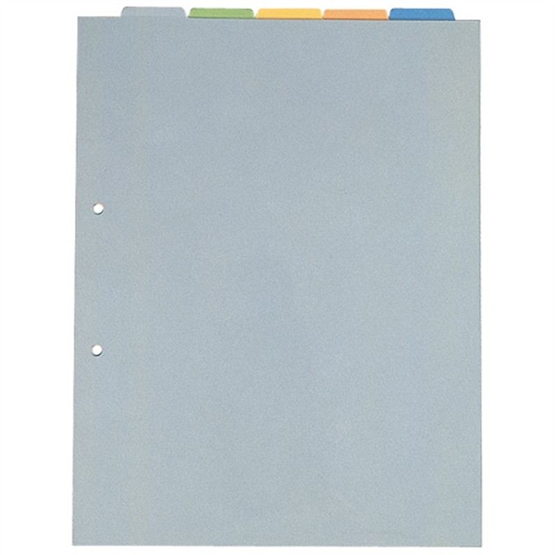 キングジム カバー付カラーインデックス A4S 103T 1個(ご注文単位1個)【直送品】