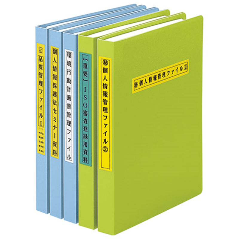 カシオ計算機 ネームランド KL-G2 1個(ご注文単位1個)【直送品】