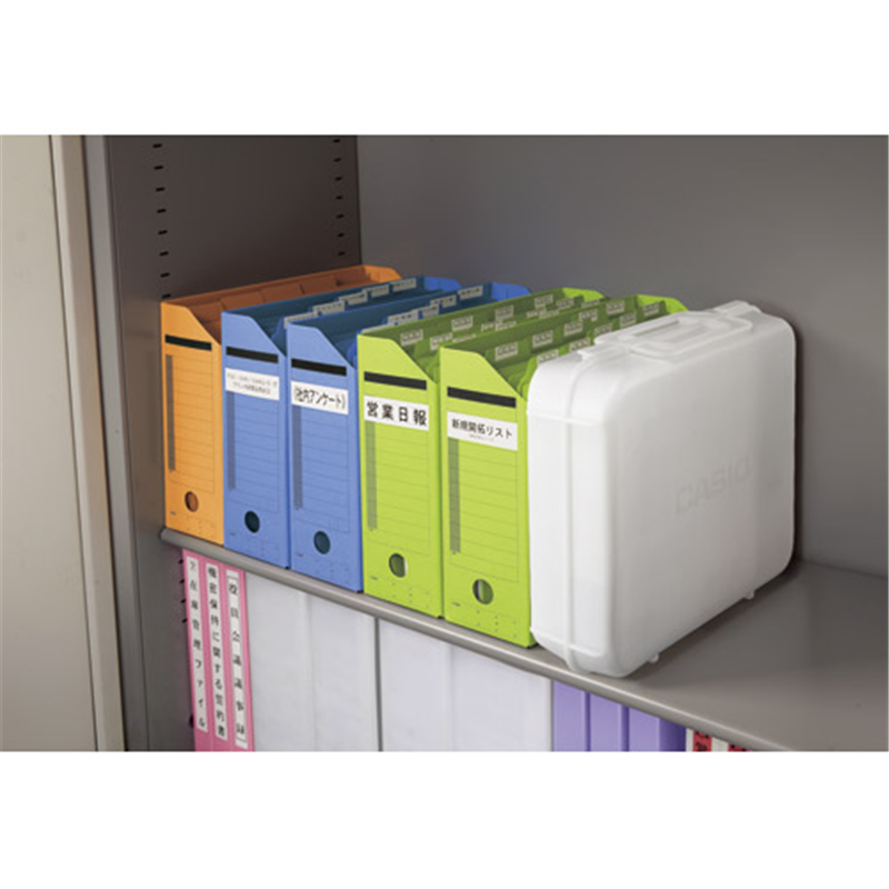 カシオ計算機 ネームランド KL-G2 1個(ご注文単位1個)【直送品】