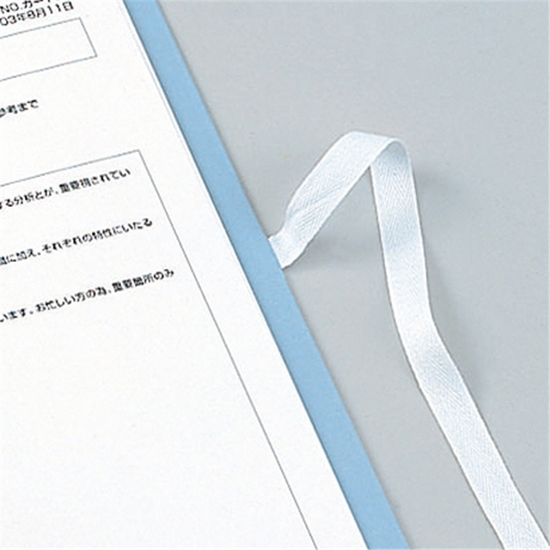 セキセイ のび?るファイル紐付 AE-50FH A4Sブルー  1個（ご注文単位1個）【直送品】