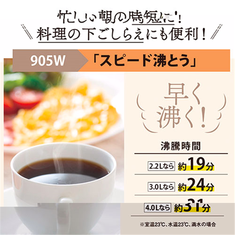 象印マホービン VE電気まほうびん 3.0L CV-GC30-TL 1個(ご注文単位1個)【直送品】