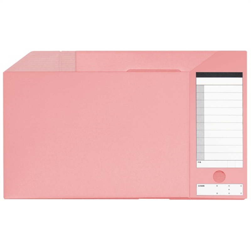 プラス ダンボックス BF10-A4-100 A4E ピンク 1個(ご注文単位1個)【直送品】