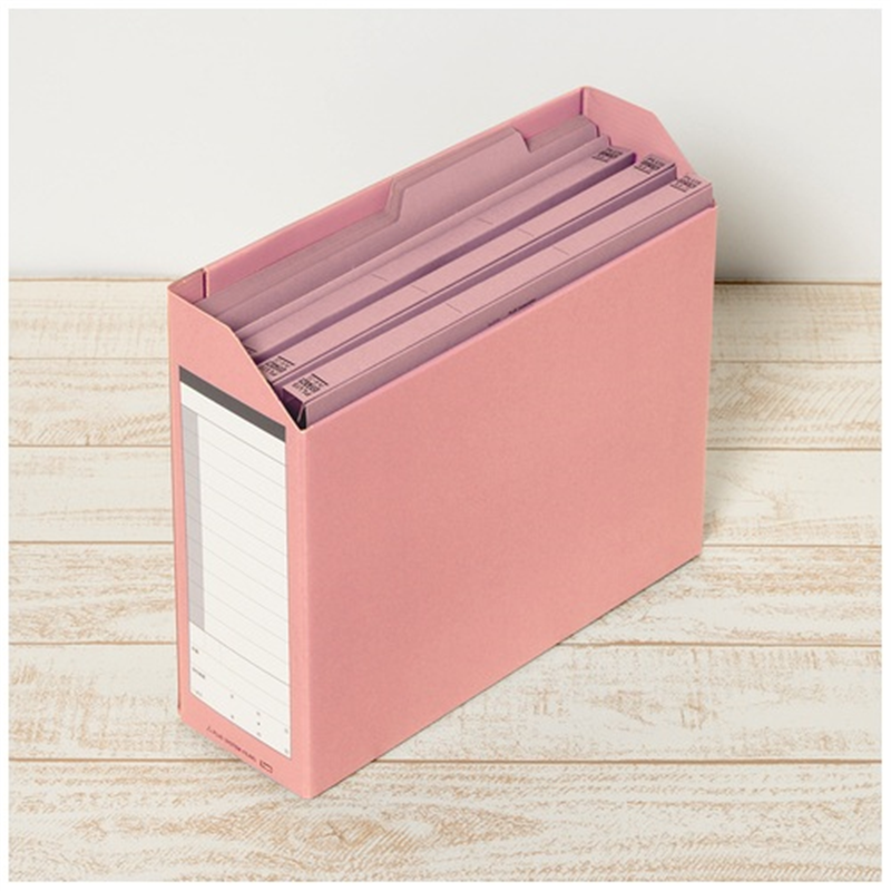 プラス ダンボックス BF10-A4-100 A4E ピンク 1個(ご注文単位1個)【直送品】