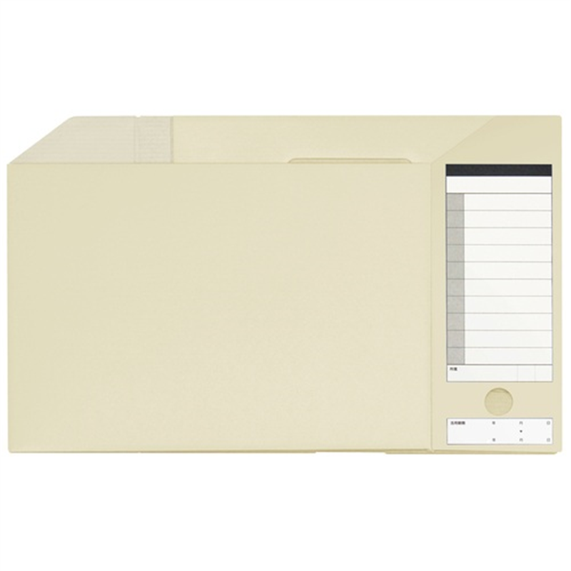 プラス ダンボックス BF10-A4-100 A4E 淡灰 1個(ご注文単位1個)【直送品】