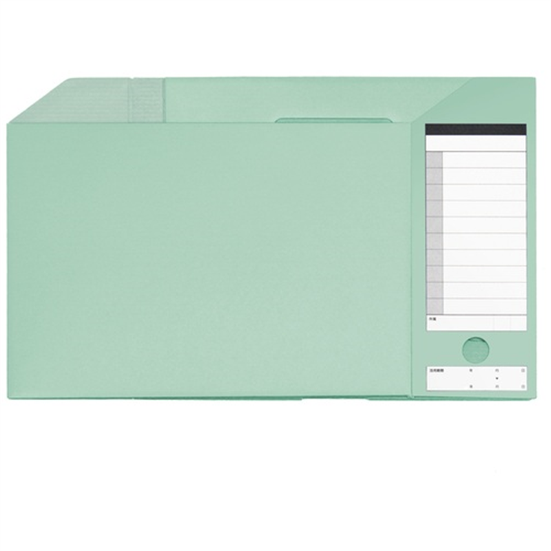 プラス ダンボックス BF10-A4-100 A4E グリーン  1個（ご注文単位1個）【直送品】