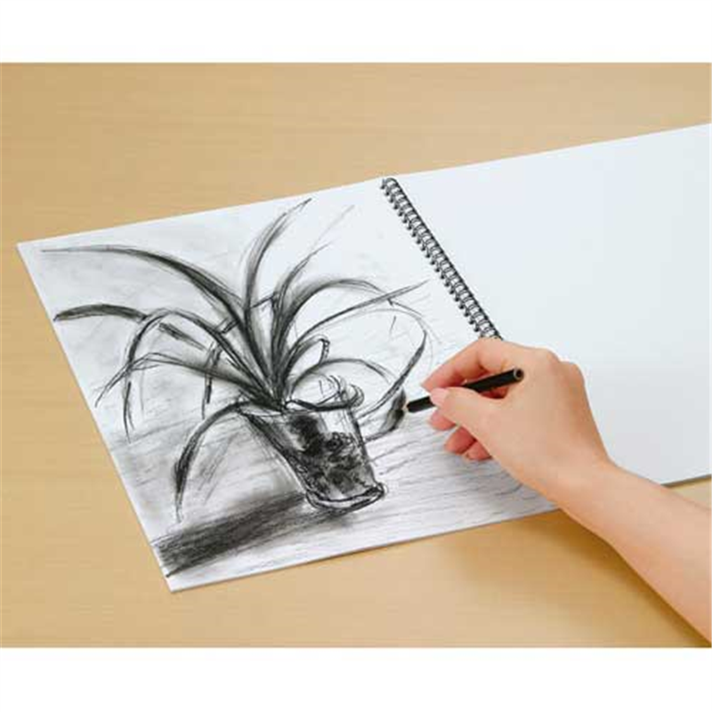 マルマン △スケッチブック 並口画用紙 B4 S120  1個（ご注文単位1個）【直送品】