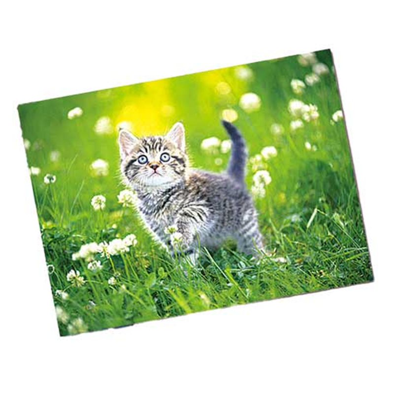 EPSON フォト光沢紙 KA450SLU A4 50枚 1個(ご注文単位1個)【直送品】