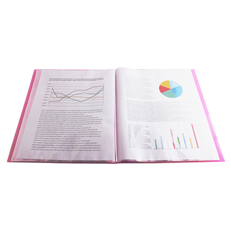 ビュートン クリヤーブックネームイン A4S 30Pピンク  1個（ご注文単位1個）【直送品】