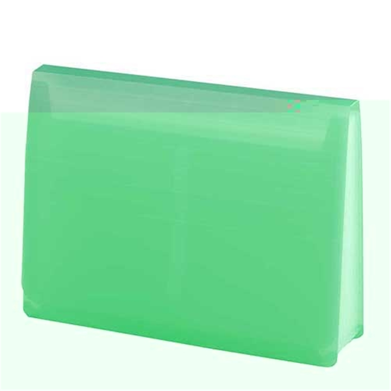 LIHIT LAB. エクスパンディングファイル A-5050-6 黄緑 1個（ご注文単位1個）【直送品】