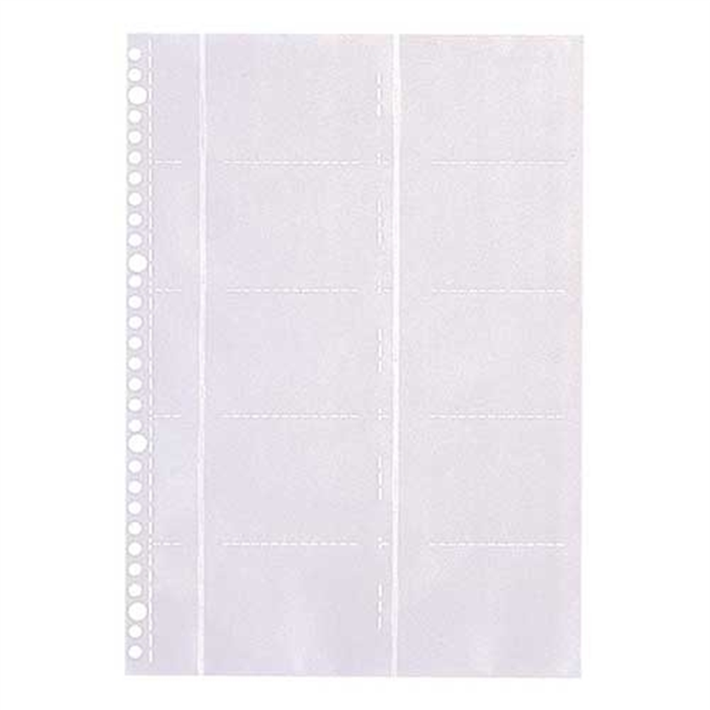 LIHIT LAB. クリヤーポケット 名刺用 G49050 A4 30穴  1個（ご注文単位1個）【直送品】