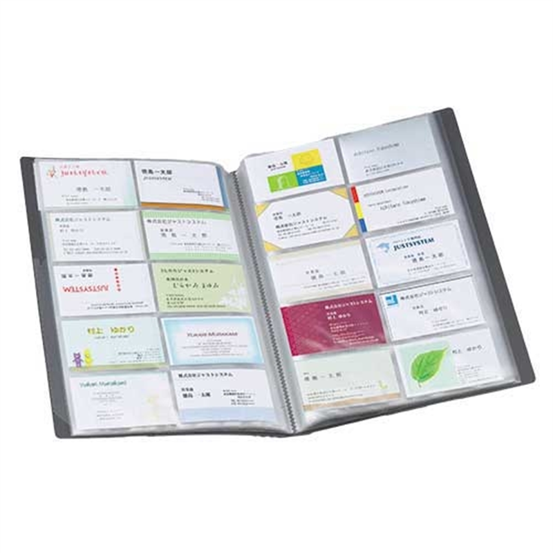 LIHIT LAB. 名刺ホルダー A4S A-946 黒 1個(ご注文単位1個)【直送品】