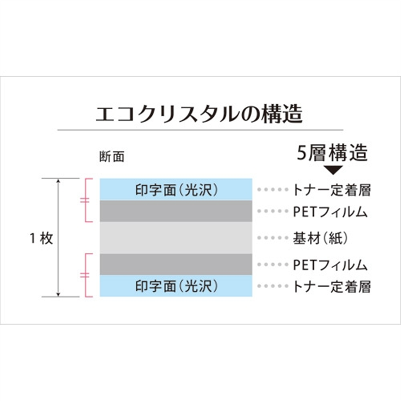 SAKAEテクニカルペーパー 耐水紙エコクリスタル ECO-230-A4 10枚 1個(ご注文単位1個)【直送品】