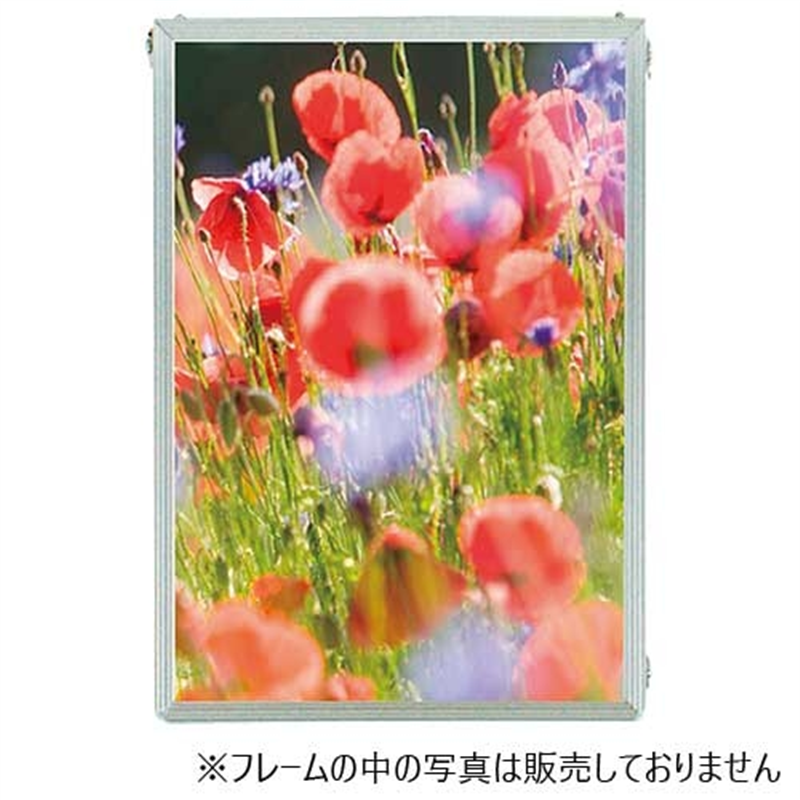 アルテ エコイレパネ ST-B4-SV B4 1個(ご注文単位1個)【直送品】