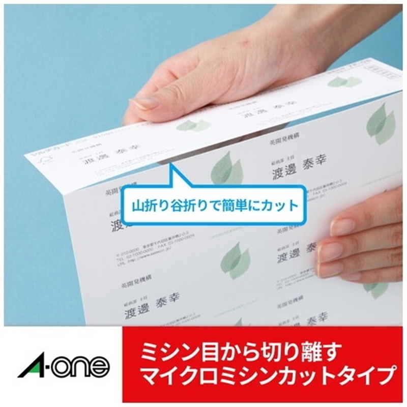 エーワン マルチカード 51216 吊下名札横特大用100枚 1個(ご注文単位1個)【直送品】