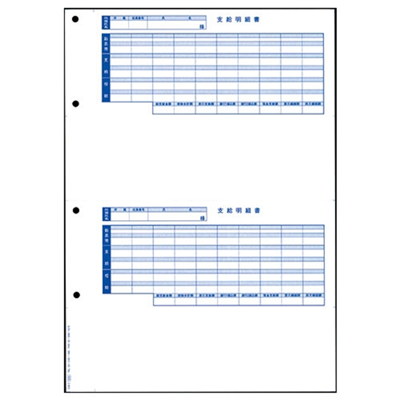 オービックビジネスコンサルタント 奉行シリーズ用専用 単票封筒用明細書 6202 1個(ご注文単位1個)【直送品】